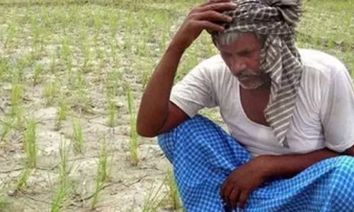 Telangana: कम बारिश के कारण खरीफ की खेती में गिरावट