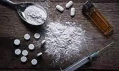 कल्याण में ड्रग मामले में दो गिरफ्तार, 1,120 किलो गांजा भी जब्त कल्याण में ड्रग मामले में दो गिरफ्तार, 1,120 किलो गांजा भी जब्त