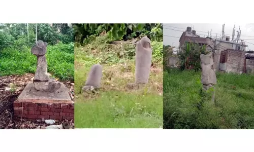 JKAACL की गैर-गंभीरता ने ‘मूर्तिकला पार्क’ में बहुमूल्य कलाकृतियों को प्रभावित किया