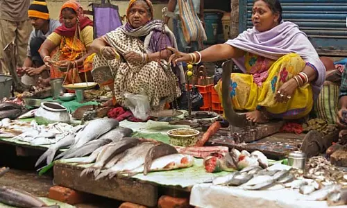 दोपहर और रात के खाने के मेन्यू में मछली नहीं! इस गाँव में क्या चल रहा है? दोपहर और रात के खाने के मेन्यू में मछली नहीं! इस गाँव में क्या चल रहा है?