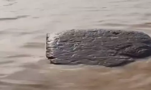 गंगा नदी में रहस्यमयी तरीके से तैरता दिखा विशाल पत्थर, वायरल Video ने जगाई जिज्ञासा