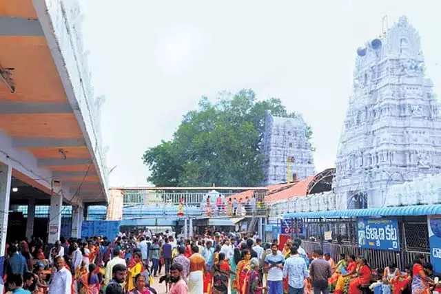 Telangana: राजराजेश्वर स्वामी मंदिर विस्तार की आधारशिला रखी गई Telangana: राजराजेश्वर स्वामी मंदिर विस्तार की आधारशिला रखी गई