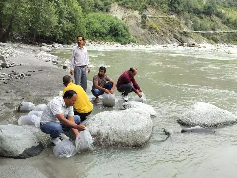 रावी-बुद्धिल नदियों में मछली पौधे छोड़े, जलीय कृषि को बढ़ावा रावी-बुद्धिल नदियों में मछली पौधे छोड़े, जलीय कृषि को बढ़ावा