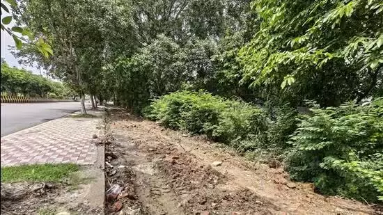 Noida : खोदी गई सड़कें, निवासियों के लिए मुसीबत Noida : खोदी गई सड़कें, निवासियों के लिए मुसीबत