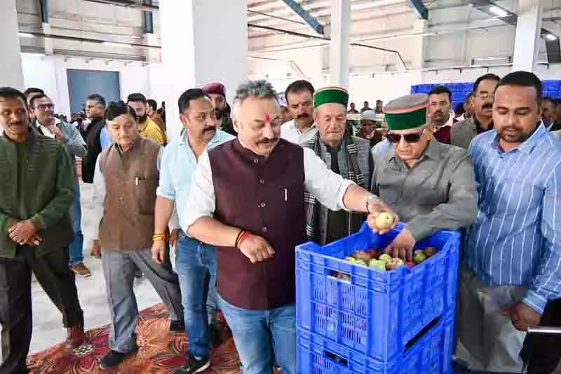 Himachal: शिक्षा मंत्री ने सेब की ग्रेडिंग और पैकिंग सुविधा का उद्घाटन किया Himachal: शिक्षा मंत्री ने सेब की ग्रेडिंग और पैकिंग सुविधा का उद्घाटन किया