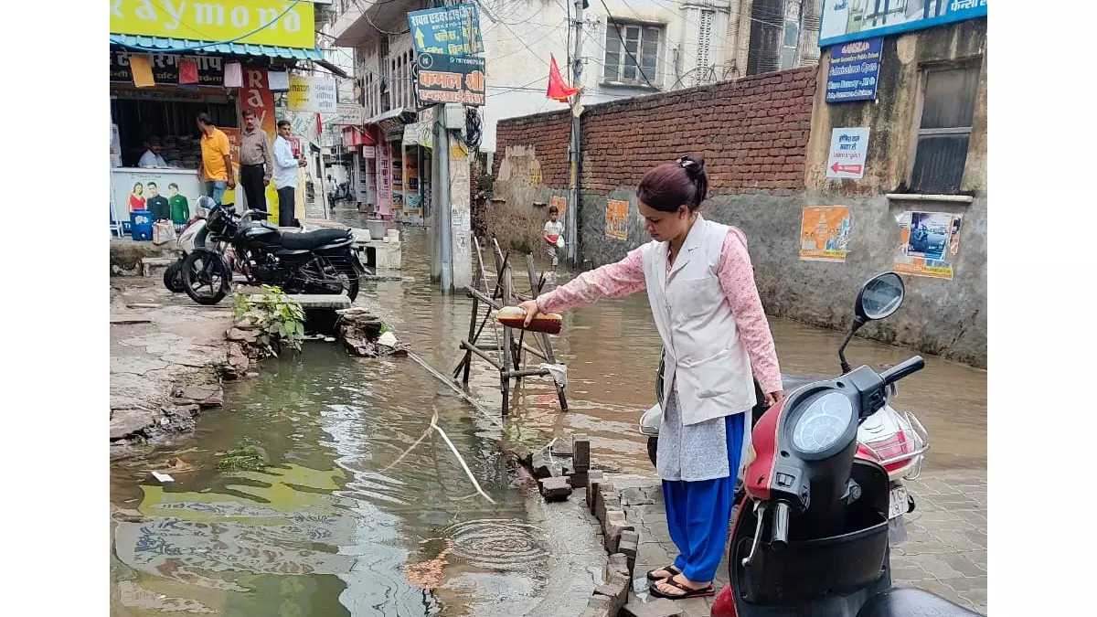 Ajmer में चिकित्सा विभाग की कार्रवाई, जलभराव क्षेत्रों में चला एंटी लार्वा अभियान Ajmer में चिकित्सा विभाग की कार्रवाई, जलभराव क्षेत्रों में चला एंटी लार्वा अभियान