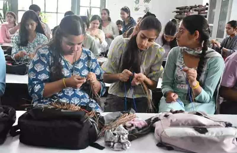 कचरे से संपत्ति तक, Mandi कार्यशाला में पाइन नीडल शिल्प और कृत्रिम फूल कचरे से संपत्ति तक, Mandi कार्यशाला में पाइन नीडल शिल्प और कृत्रिम फूल