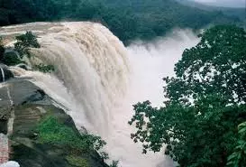 Kerala : इडुक्की में एक और जलविद्युत परियोजना आ रही है क्या वन विभाग का रुख बाधा बनेगा Kerala : इडुक्की में एक और जलविद्युत परियोजना आ रही है क्या वन विभाग का रुख बाधा बनेगा