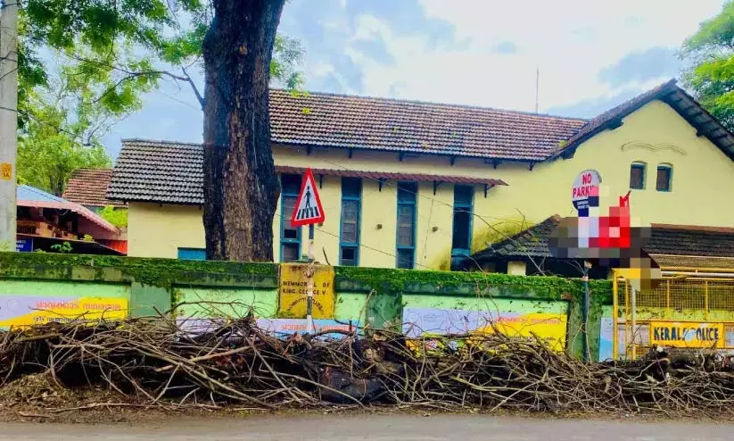 शहर के केंद्र में पेड़ों की शाखाओं के ढेर से यात्रियों को असुविधा हो रही शहर के केंद्र में पेड़ों की शाखाओं के ढेर से यात्रियों को असुविधा हो रही