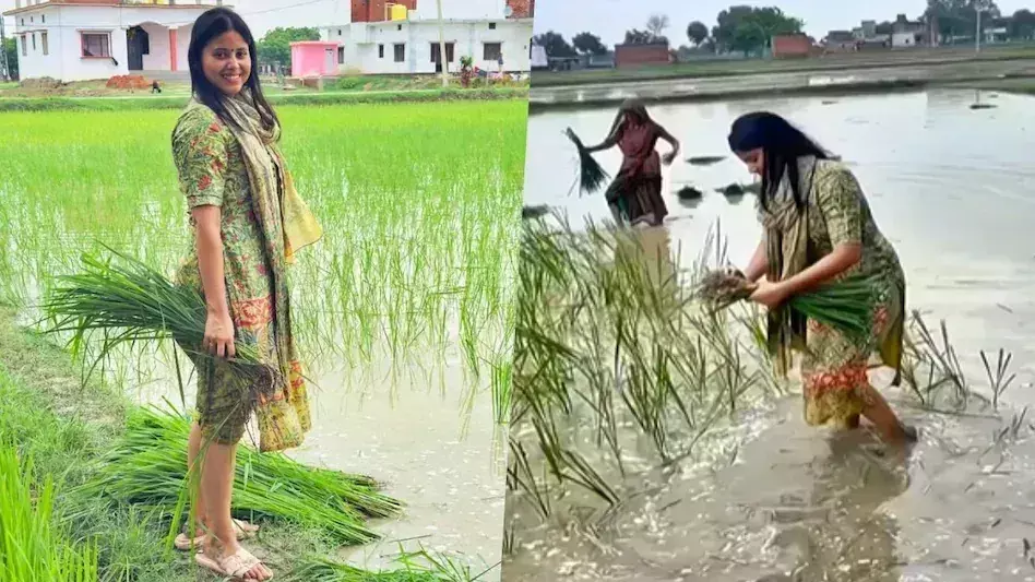 Varanasi: सपा सांसद प्रिया सरोज ने पानी से भरे खेत में धान की रोपाई की Varanasi: सपा सांसद प्रिया सरोज ने पानी से भरे खेत में धान की रोपाई की