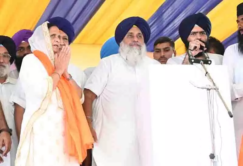 सुखविंदर कौर रंधावा को तरनतारन उपचुनाव के लिए SAD उम्मीदवार नामित किया गया सुखविंदर कौर रंधावा को तरनतारन उपचुनाव के लिए SAD उम्मीदवार नामित किया गया