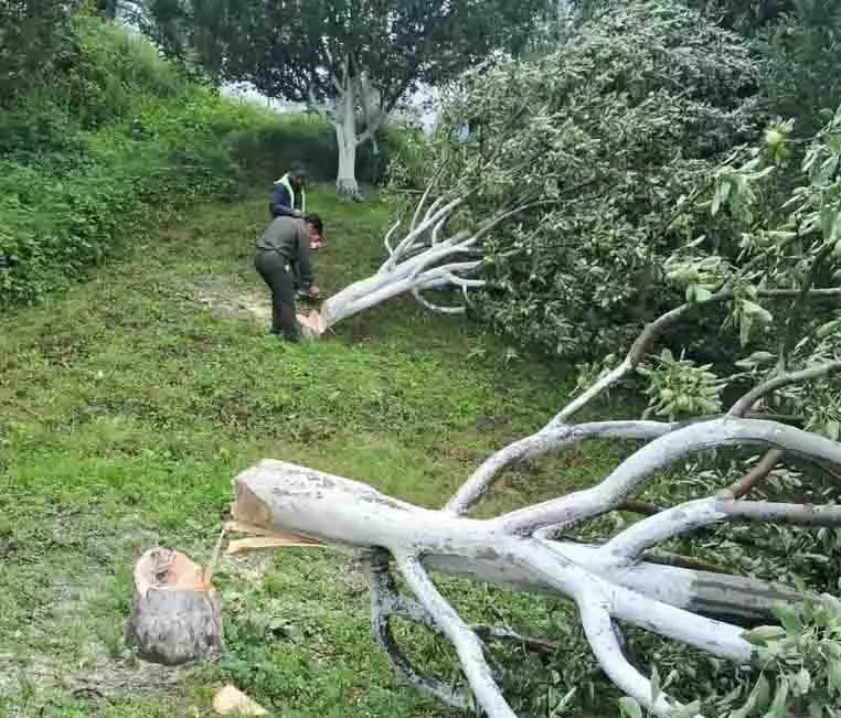 Kullu district में 800 हेक्टेयर भूमि से अतिक्रमण हटाया जाएगा Kullu district में 800 हेक्टेयर भूमि से अतिक्रमण हटाया जाएगा