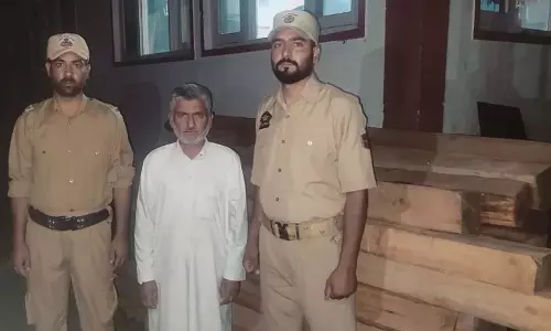 हंदवाड़ा में अवैध देवदार लकड़ी जब्त, एक गिरफ्तार