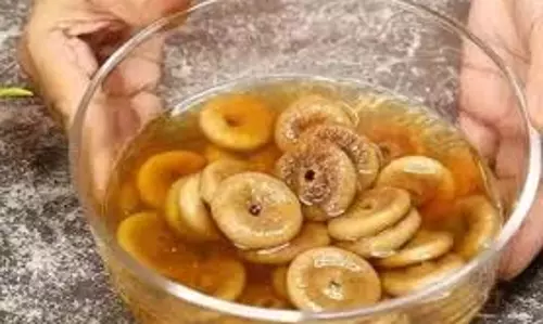 Soaked Anjeer Benefit: खाली पेट अंजीर खाने के हैं ये दिलचस्प फायदे Soaked Anjeer Benefit: खाली पेट अंजीर खाने के हैं ये दिलचस्प फायदे