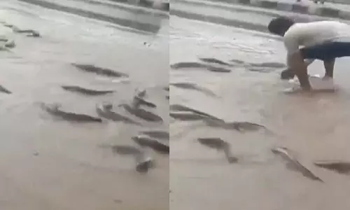 Rajasthan: भारी बारिश, सड़कों पर तैर रही मछलियाँ