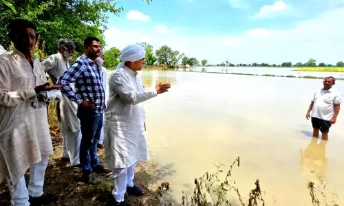 Haryana :  रोहतक के किसानों ने प्रशासन से फसलें जलमग्न होने पर पानी निकालने के प्रयास