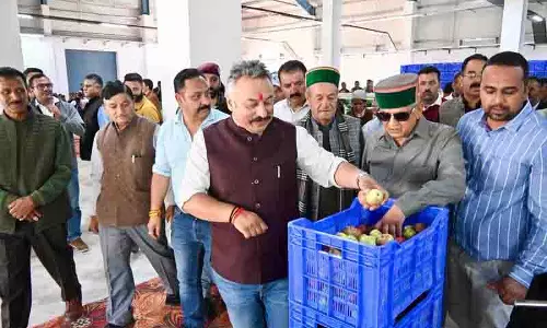 Himachal: शिक्षा मंत्री ने सेब की ग्रेडिंग और पैकिंग सुविधा का उद्घाटन किया