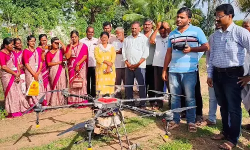 यूरिया उर्वरक की कमी: किसान नैनो घोल का उपयोग करने से हिचकिचा रहे हैं