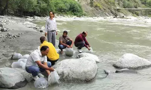 जलीय कृषि को बढ़ावा देने के लिए Ravi और बुद्धिल नदियों में मछली के पौधे छोड़े गए जलीय कृषि को बढ़ावा देने के लिए Ravi और बुद्धिल नदियों में मछली के पौधे छोड़े गए