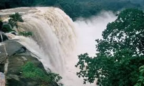 Kerala : इडुक्की में एक और जलविद्युत परियोजना आ रही है क्या वन विभाग का रुख बाधा बनेगा Kerala : इडुक्की में एक और जलविद्युत परियोजना आ रही है क्या वन विभाग का रुख बाधा बनेगा