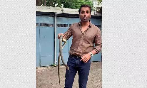 बॉलीवुड अभिनेता सोनू सूद ने हाथों से पकड़ा सांप