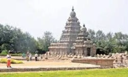 सीएमआरएल ने पर्यटन बढ़ावा देने रोपवे योजना बनाई
