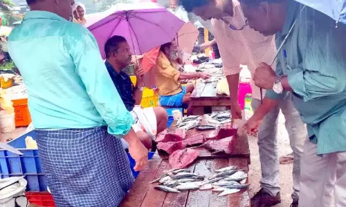 Kerala : मछली बाजारों का निरीक्षण