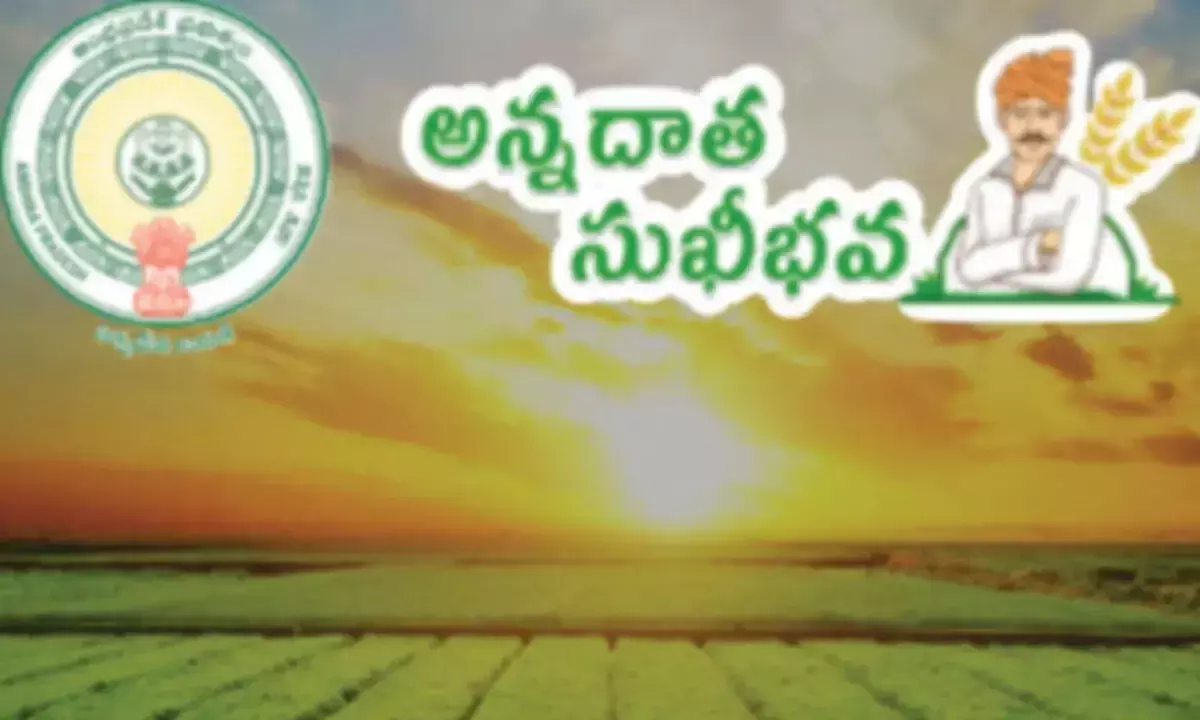 Andhra: किसानों से कहा कि वे अन्नदाता सुखीभवा के लिए अपनी पात्रता की जांच कर लें Andhra: किसानों से कहा कि वे अन्नदाता सुखीभवा के लिए अपनी पात्रता की जांच कर लें