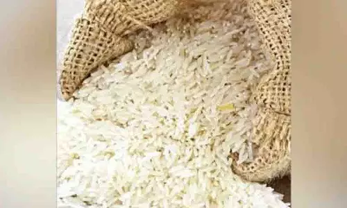 खिचड़ी में कीड़े, Bhadrachalam में गुरुकुल प्रिंसिपल, वार्डन निलंबित खिचड़ी में कीड़े, Bhadrachalam में गुरुकुल प्रिंसिपल, वार्डन निलंबित