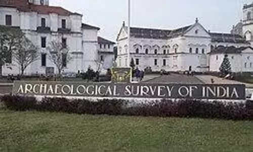 ASI कर्मचारियों की बर्खास्तगी से स्मारक के रखरखाव पर असर