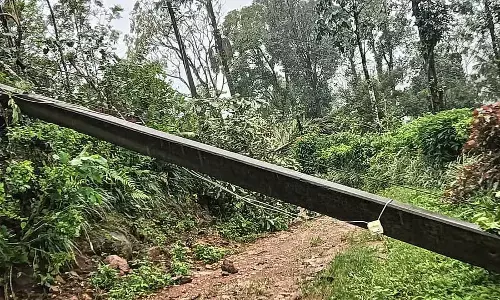 निरंतर वनों की कटाई: वाटेकाडु कॉलोनी में नुकसान