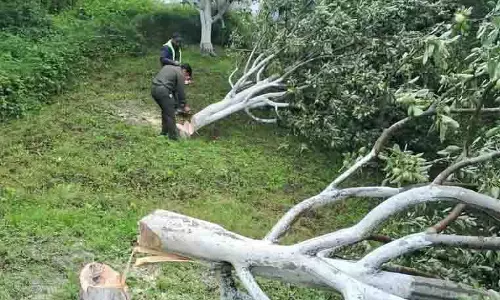 Kullu district में 800 हेक्टेयर भूमि से अतिक्रमण हटाया जाएगा