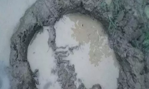 CG BREAKING: महाराष्ट्र से लौटकर फिर छत्तीसगढ़ पहुंचा दंतैल हाथी, वन विभाग अलर्ट