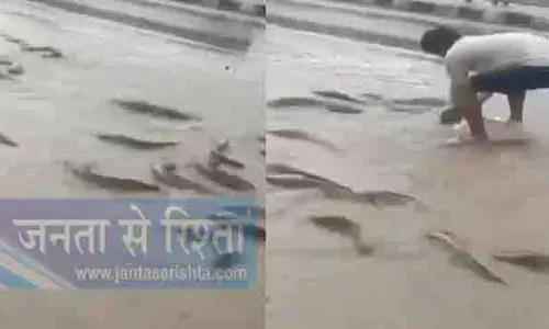 Rajasthan में भारी बारिश का असर, तालाब उफान पर – सड़कों पर तैरती दिखीं मछलियाँ