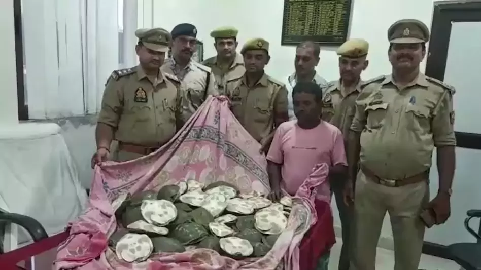 रेलवे स्टेशन में यात्री के कब्जे से 12 लाख का कछुआ जब्त, बंगाल में करने वाला था सप्लाई रेलवे स्टेशन में यात्री के कब्जे से 12 लाख का कछुआ जब्त, बंगाल में करने वाला था सप्लाई