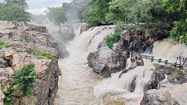 Tamil Nadu : होगेनक्कल झरने पर स्नान की अनुमति है Tamil Nadu : होगेनक्कल झरने पर स्नान की अनुमति है