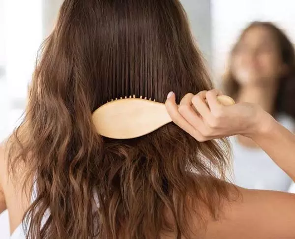 Hair Care Tips: हर दिन झड़ते बालों से हैं परेशान? अपनाएं ये आसान घरेलू उपाय, कुछ ही हफ्तों में दिखेगा फर्क Hair Care Tips: हर दिन झड़ते बालों से हैं परेशान? अपनाएं ये आसान घरेलू उपाय, कुछ ही हफ्तों में दिखेगा फर्क