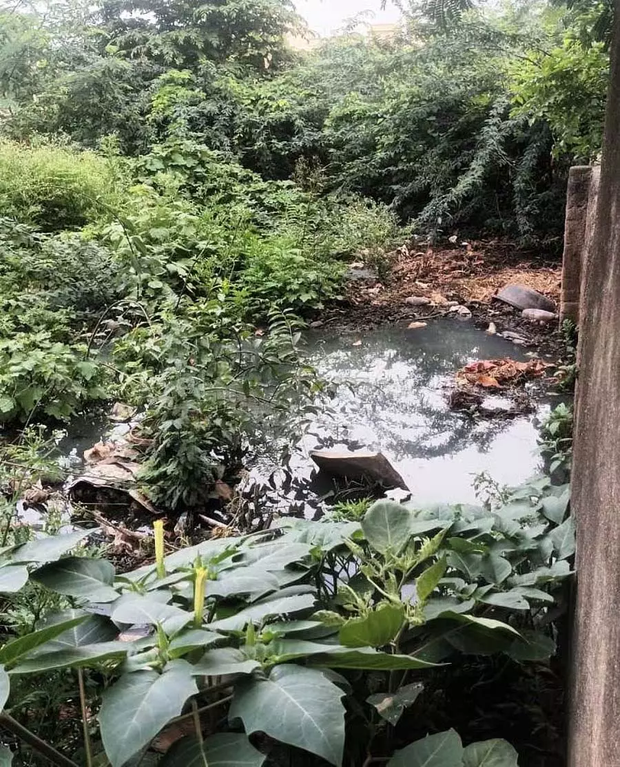 इंडी-सलोटागी सड़क पर अतिक्रमण: जनता ने इसे हटाने की मांग की इंडी-सलोटागी सड़क पर अतिक्रमण: जनता ने इसे हटाने की मांग की