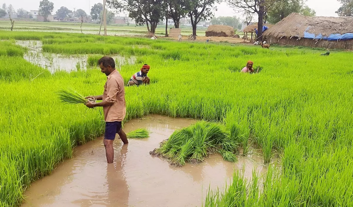 खरीफ सीजन 2025 : प्रदेश के किसानों को 5560 करोड़ रूपए का अल्पकालीन कृषि ऋण वितरित खरीफ सीजन 2025 : प्रदेश के किसानों को 5560 करोड़ रूपए का अल्पकालीन कृषि ऋण वितरित