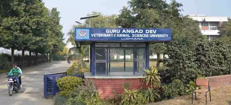 पशु चिकित्सा University इन्क्यूबेशन केंद्र छात्रों के लिए रोजगार को बढ़ावा देता पशु चिकित्सा University इन्क्यूबेशन केंद्र छात्रों के लिए रोजगार को बढ़ावा देता