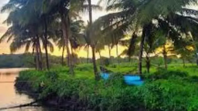 विशेषज्ञों ने Goa के नए एस्कीट्स अधिनियम की आलोचना की विशेषज्ञों ने Goa के नए एस्कीट्स अधिनियम की आलोचना की