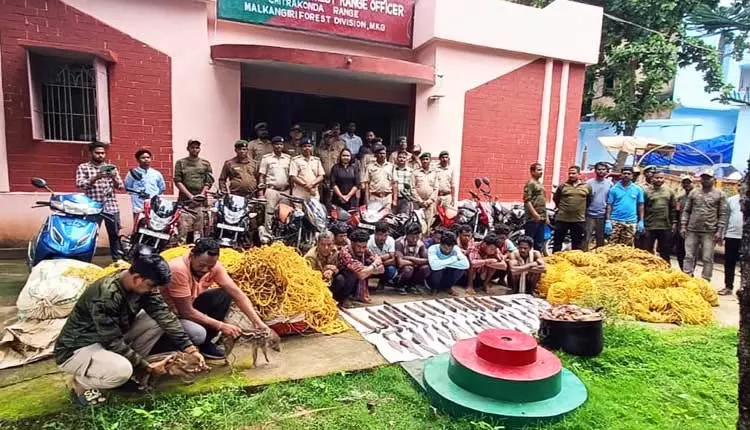 मलकानगिरी में जंगली सूअर के शिकार के आरोप में 11 गिरफ्तार मलकानगिरी में जंगली सूअर के शिकार के आरोप में 11 गिरफ्तार