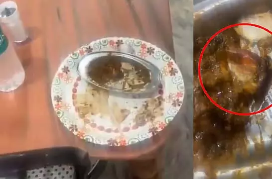ब्रेड और करी में उर्सुला! वीडियो वायरल, ढाबा मालिक ने किया खंडन ब्रेड और करी में उर्सुला! वीडियो वायरल, ढाबा मालिक ने किया खंडन