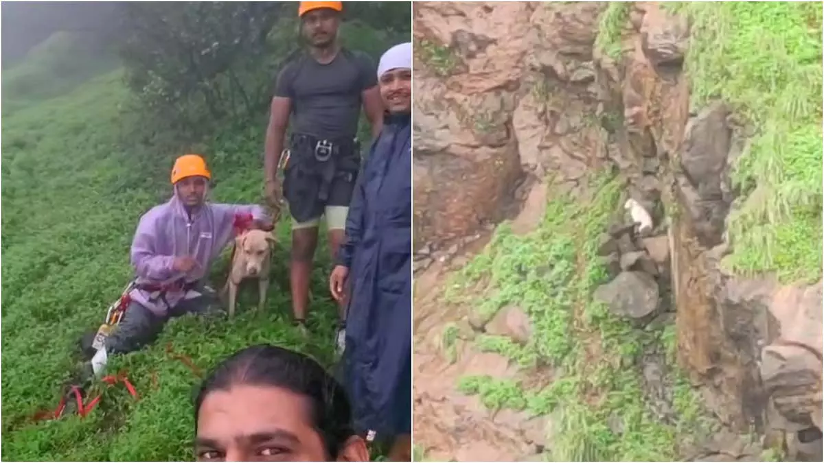 सह्याद्री मित्र टीम ने माथेरान घाटी से आवारा कुत्ते को सुरक्षित निकाला सह्याद्री मित्र टीम ने माथेरान घाटी से आवारा कुत्ते को सुरक्षित निकाला