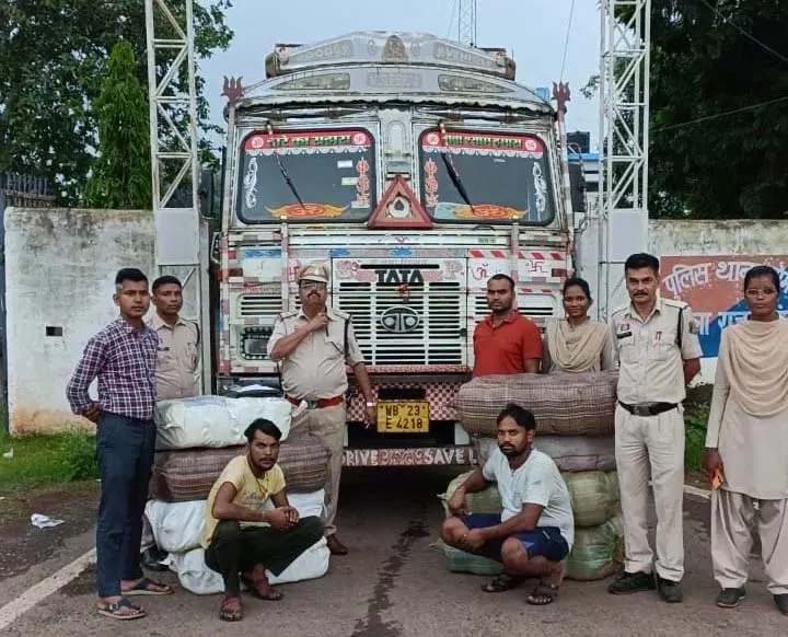 CG: 215 किलो गांजा जब्त, अंतर्राज्यीय तस्करी में दो आरोपी गिरफ्तार CG: 215 किलो गांजा जब्त, अंतर्राज्यीय तस्करी में दो आरोपी गिरफ्तार