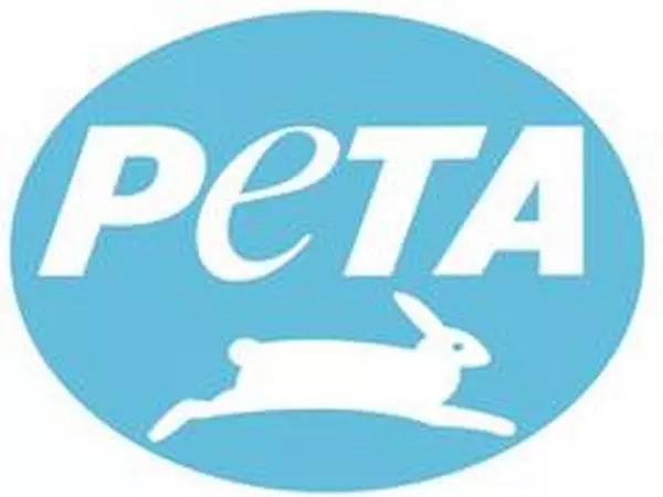 पिटबुल हमले के बाद PETA इंडिया ने आक्रामक विदेशी कुत्तों पर प्रतिबंध की मांग की पिटबुल हमले के बाद PETA इंडिया ने आक्रामक विदेशी कुत्तों पर प्रतिबंध की मांग की