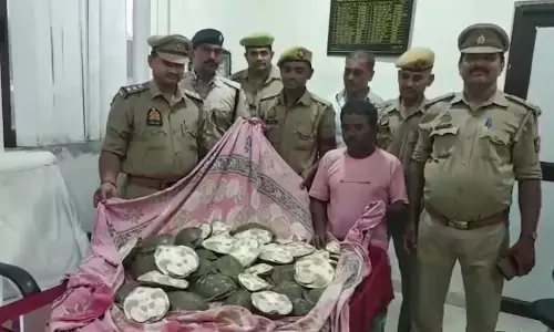 रेलवे स्टेशन में यात्री के कब्जे से 12 लाख का कछुआ जब्त, बंगाल में करने वाला था सप्लाई