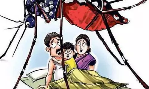 Tamil Nadu : बच्चों में डेंगू बुखार
