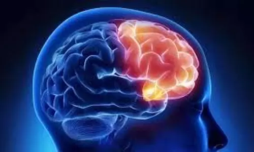 स्मृति हानि और व्यवहार में बदलाव मस्तिष्क क्षय के संकेत: विशेषज्ञ