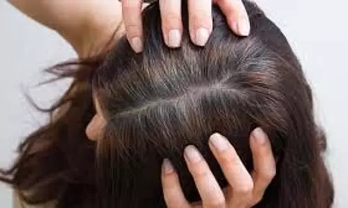 Hair Care: बालों के लिए तैयार रखें ये तेल, टूटना और सफेद होना होगा कम Hair Care: बालों के लिए तैयार रखें ये तेल, टूटना और सफेद होना होगा कम